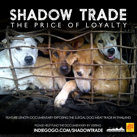 Shadow Trade Documentary