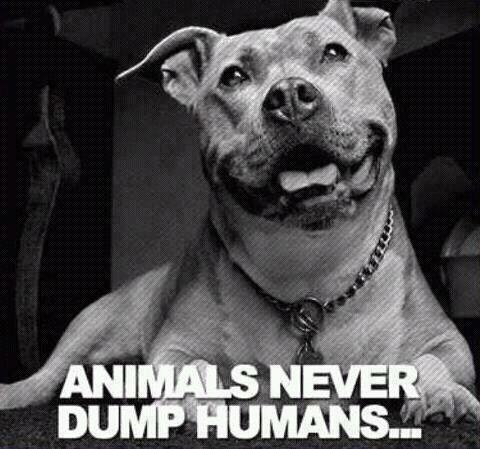 Animals Never Dump Humans