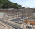 Sumangri Dog Farm New Construction Permit Cancelled