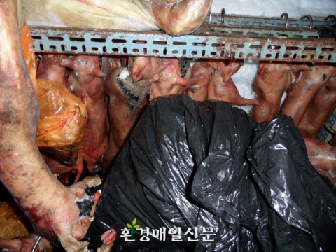 Illegal slaughter of 7,200 black goats and dogs in the middle of downtown Seoul