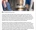 Help stop the torture and consumption of dogs and cats