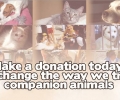 Make a donation today and change the way we treat our companion animals.

Your s…